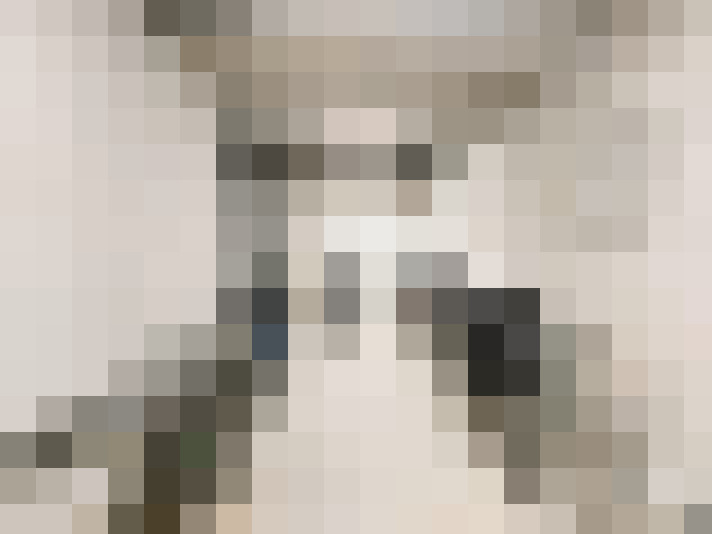  / #15