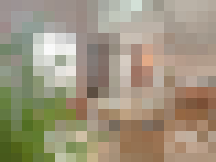  / #5