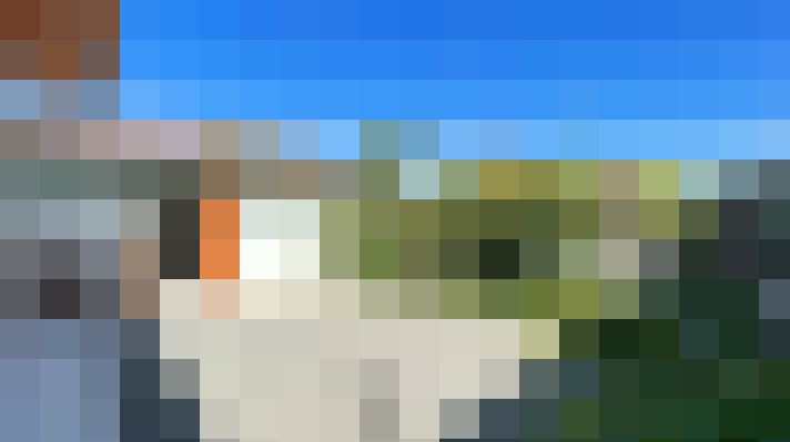  / #7