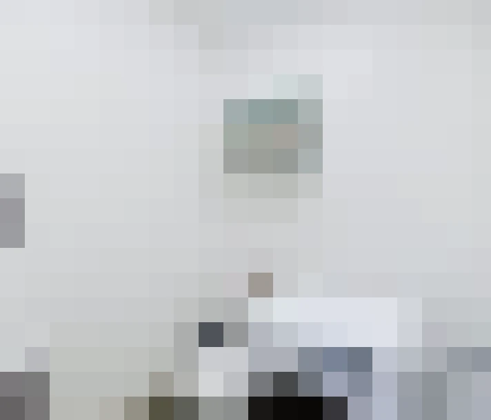  / #11