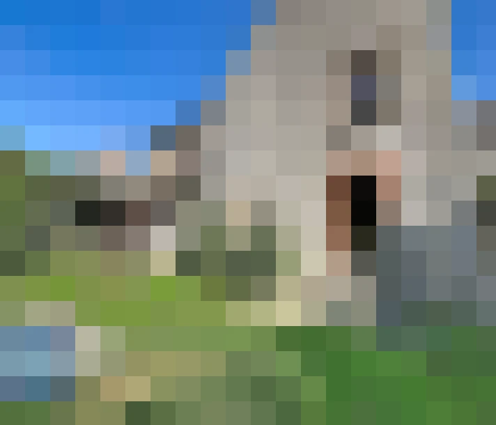  / #13