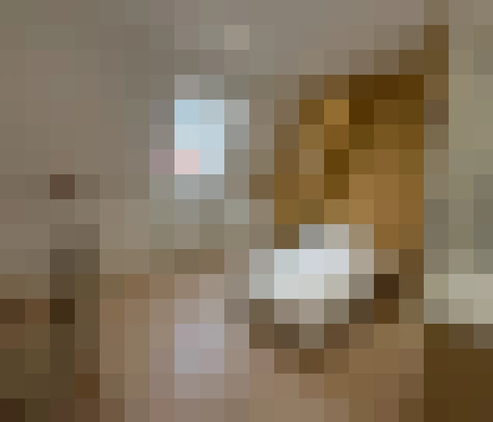  / #12