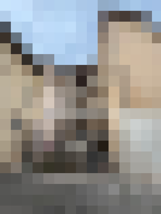  / #7
