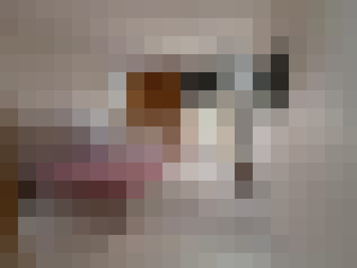  / #17