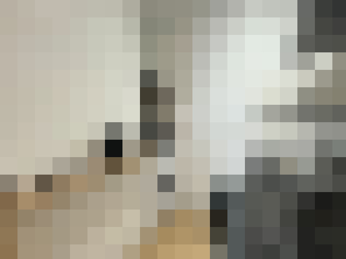  / #14