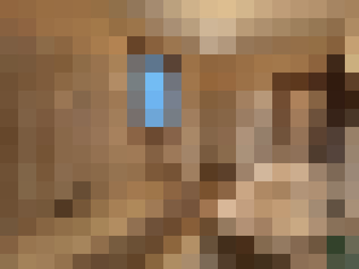  / #7