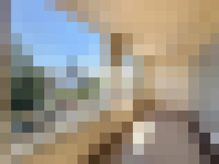  / #7