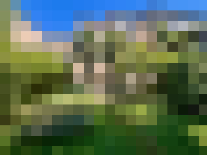  / #7