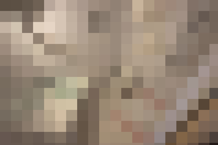  / #8