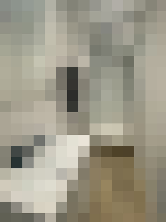  / #7