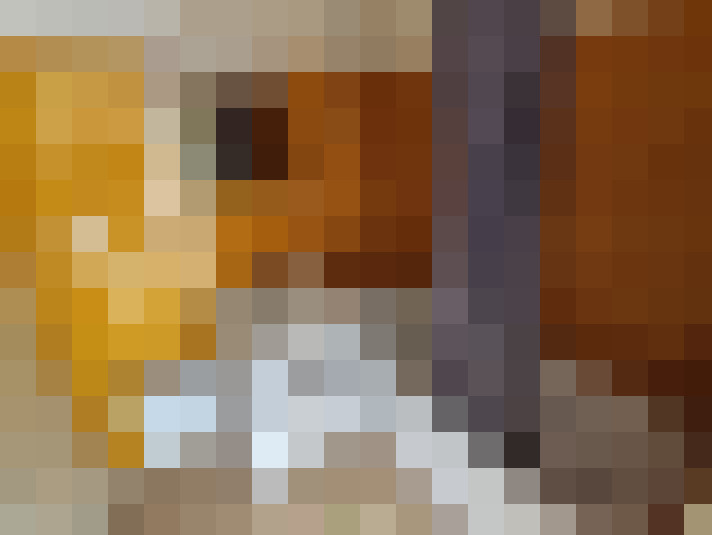  / #15