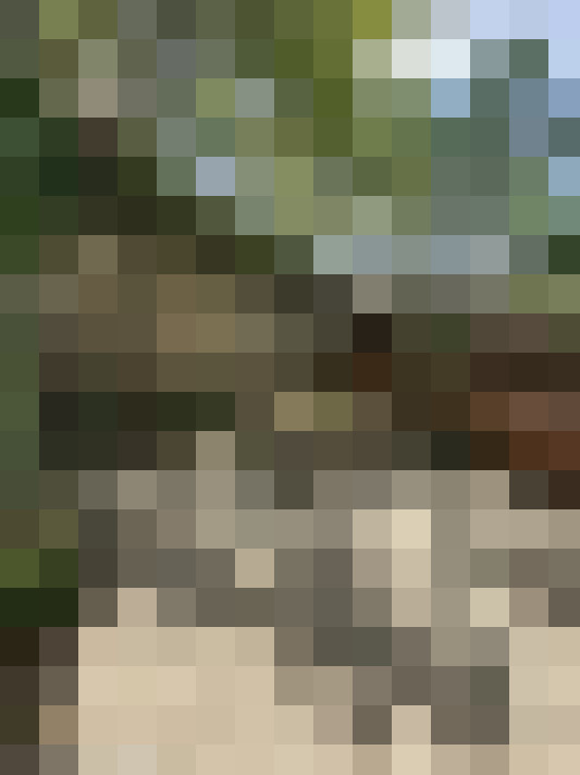  / #8