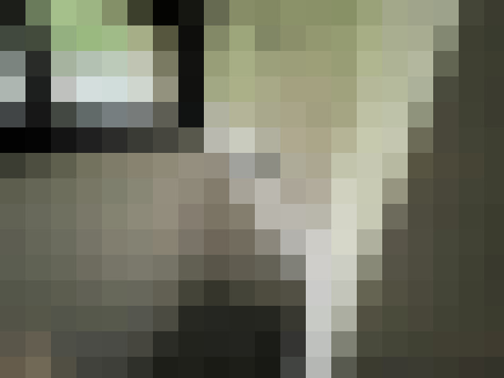  / #15