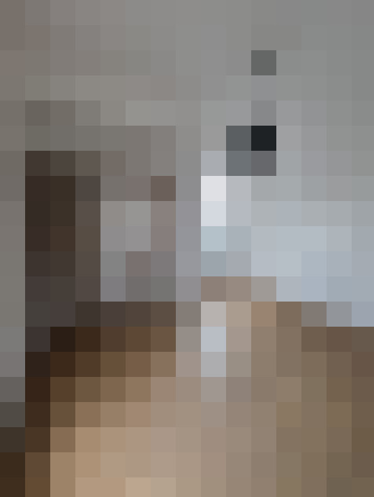  / #11