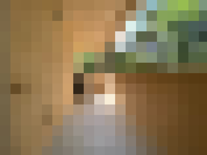  / #7