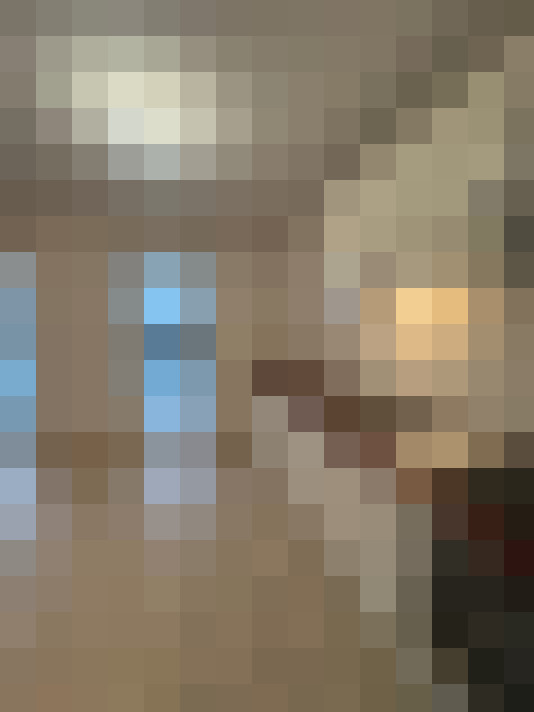  / #15