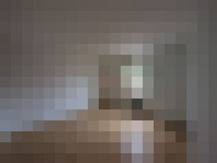  / #8