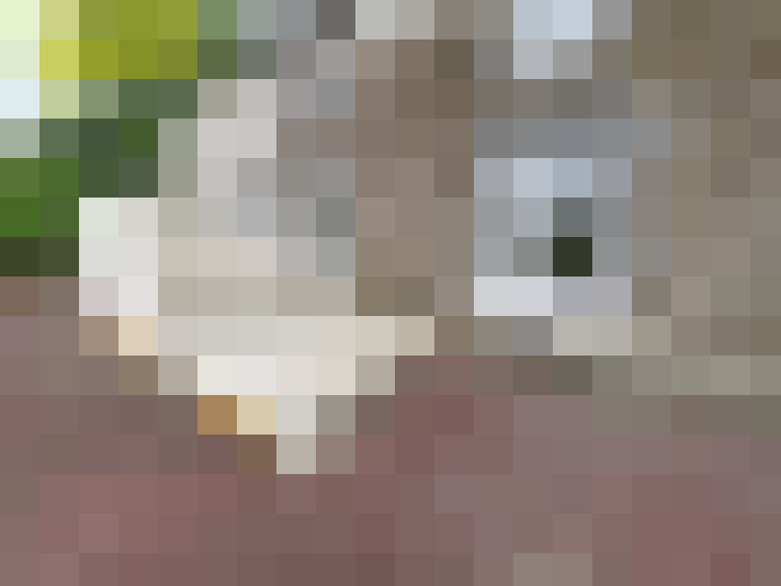  / #9