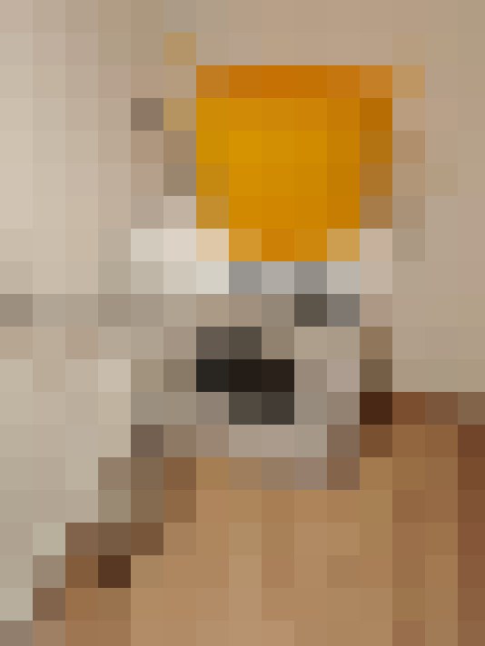  / #15