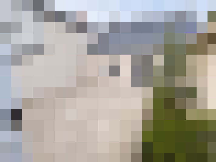  / #7