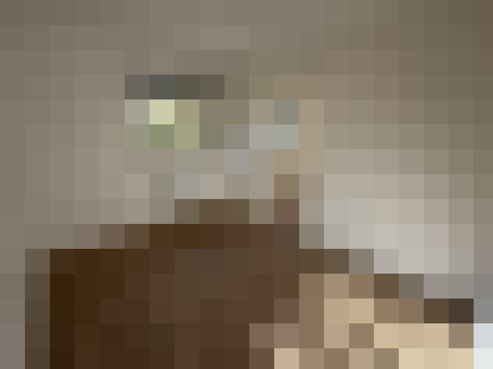  / #7