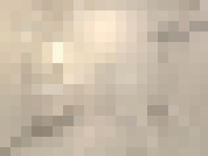  / #11