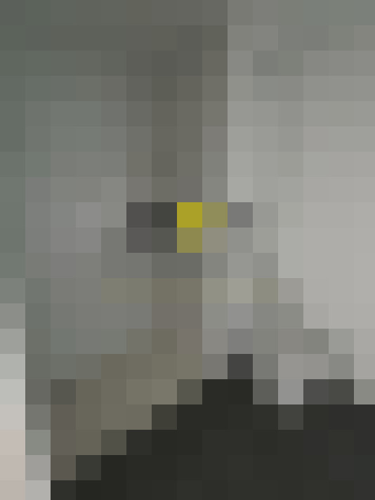  / #14