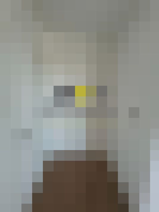  / #16
