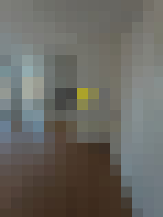  / #15