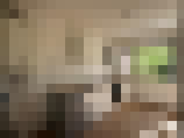  / #7