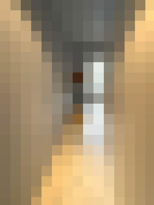  / #17