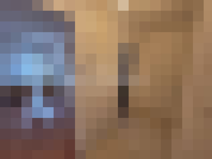  / #8