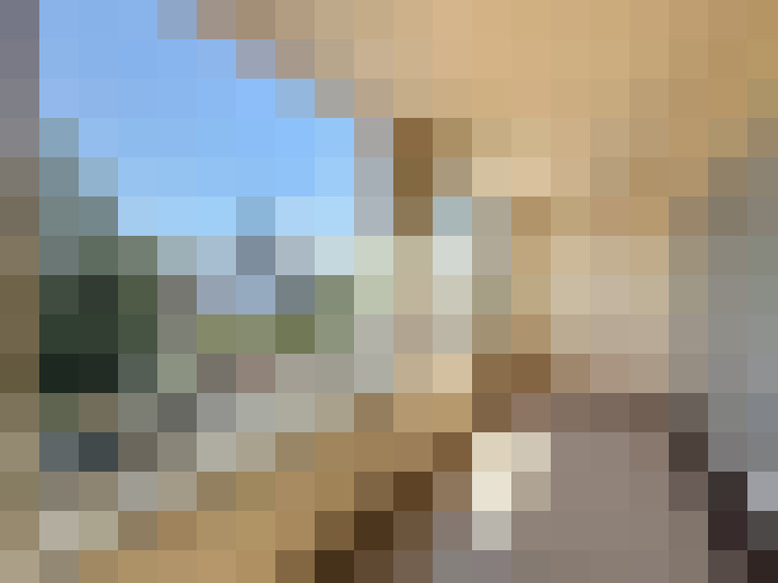  / #7