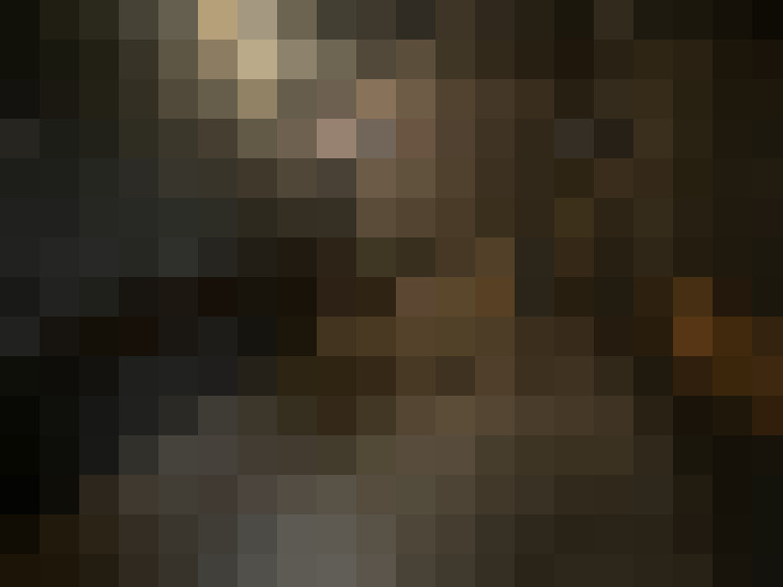  / #14