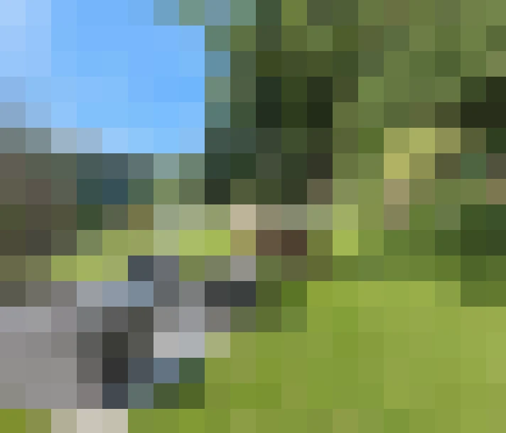 / #11