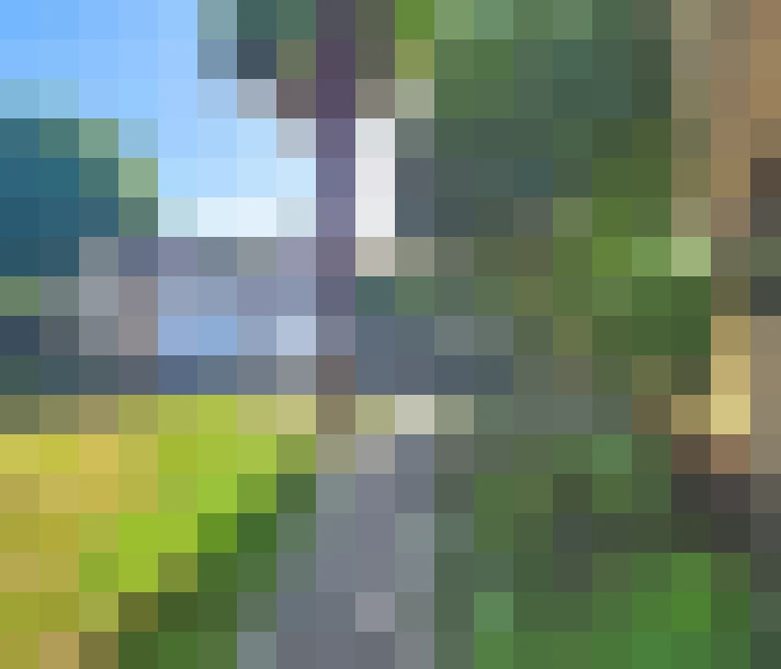  / #7