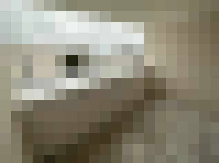  / #7