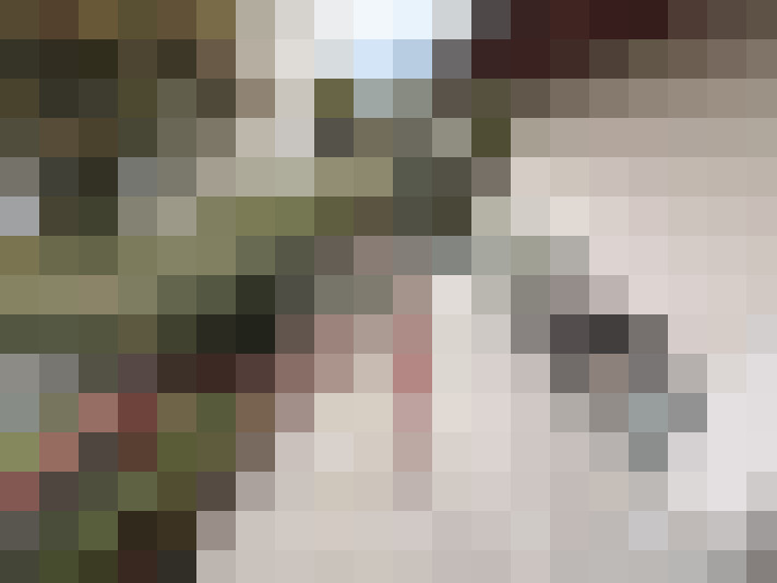  / #12