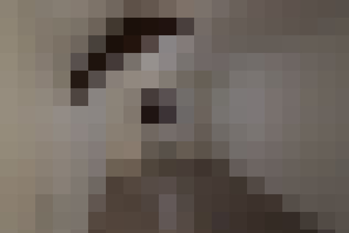  / #8