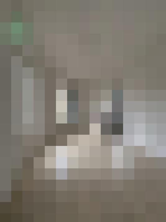  / #15