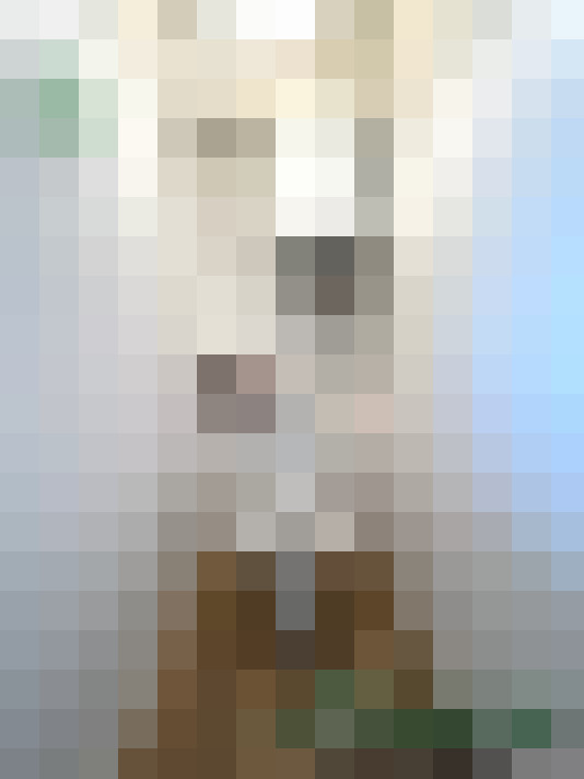  / #12