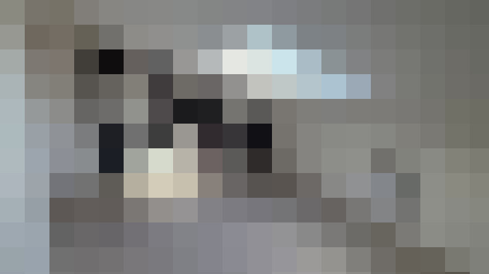  / #12