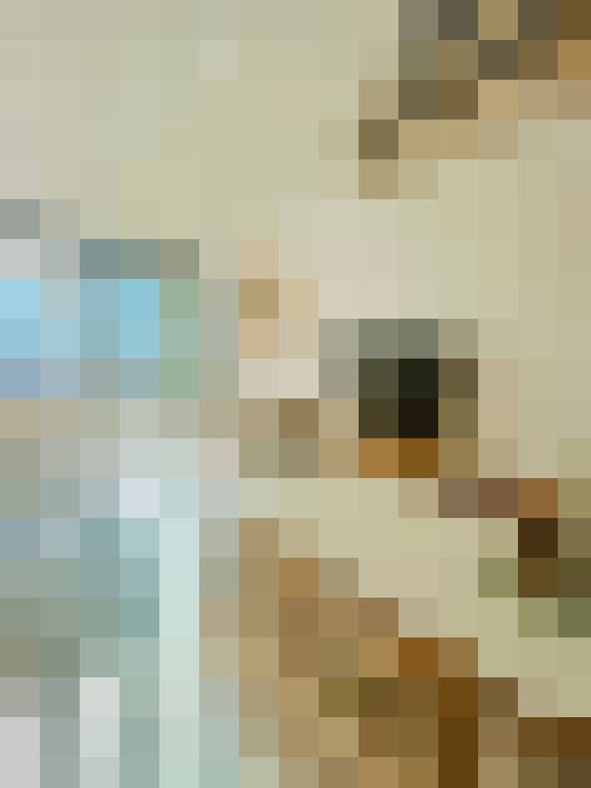  / #19