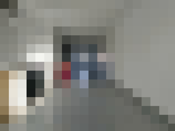  / #8
