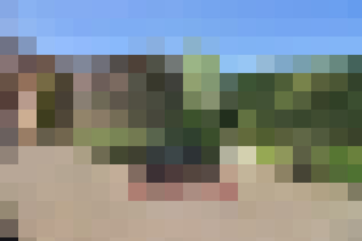  / #9