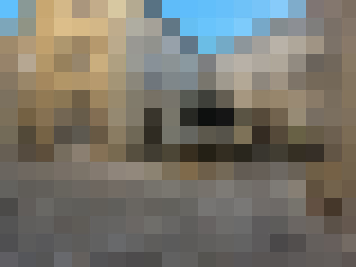  / #11