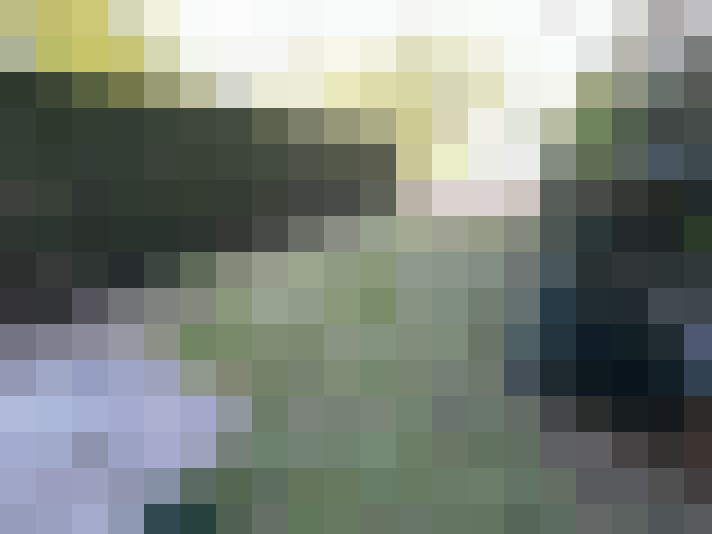  / #6