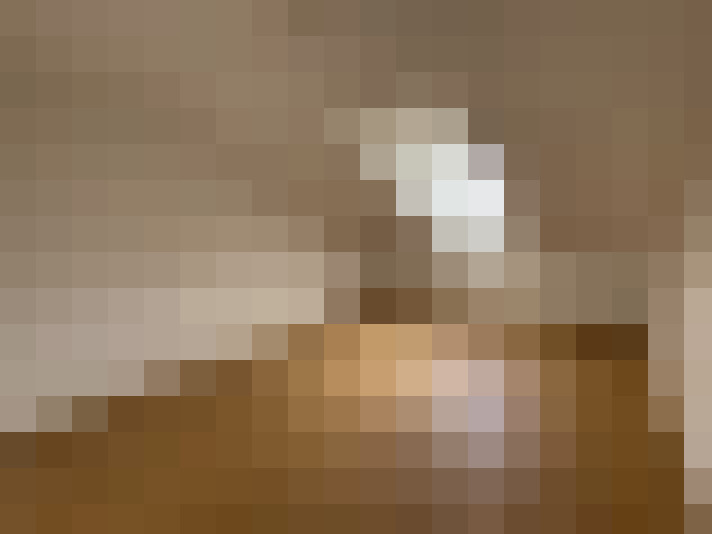  / #6