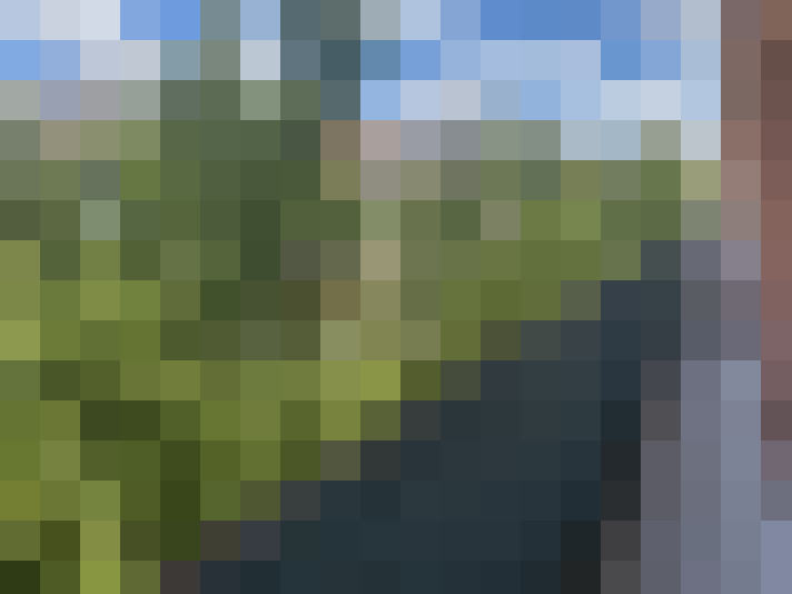  / #7
