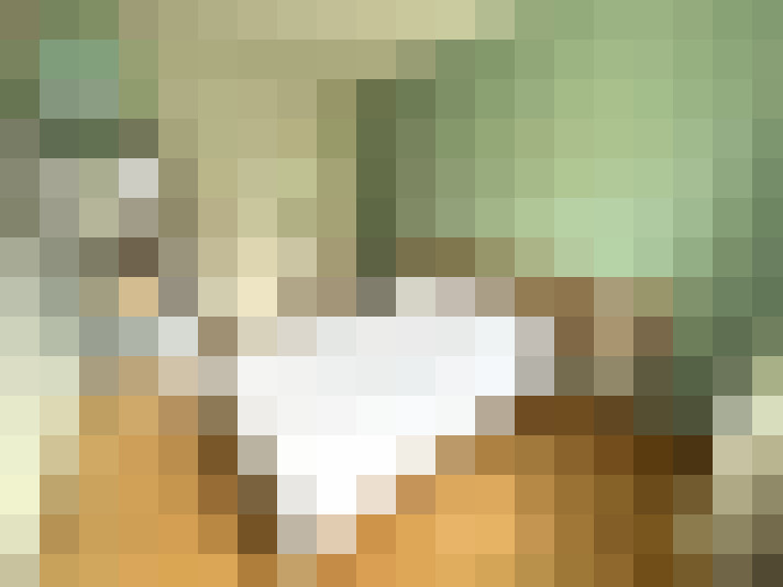  / #14